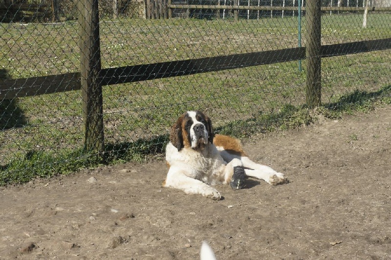 I love you dit idem Du Missy's Ranch