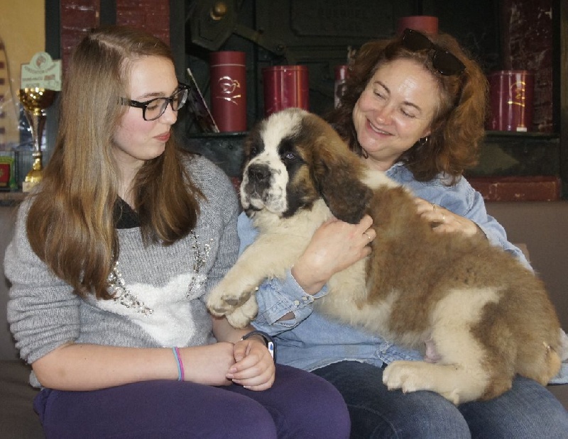 Du Missy's Ranch - Chien du Saint-Bernard - Portée née le 21/03/2016
